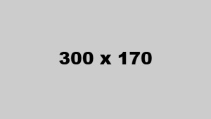 Milestone Vision